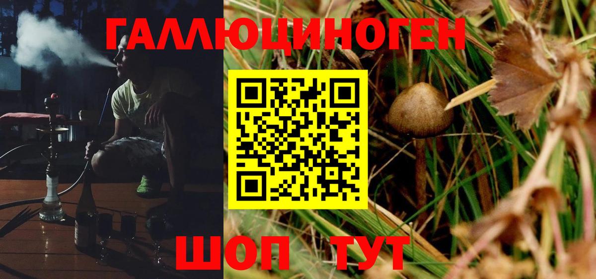 Галлюциногенные грибы GOLDEN TEACHER Псков
